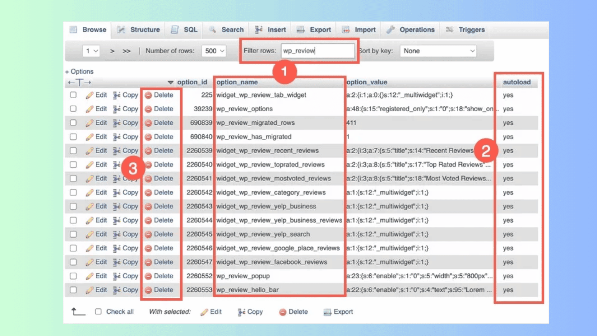 Resolve WordPress Autoloaded Options Error in 5 Simple Steps 2 autoloaded options error wordpress fix by setting to no