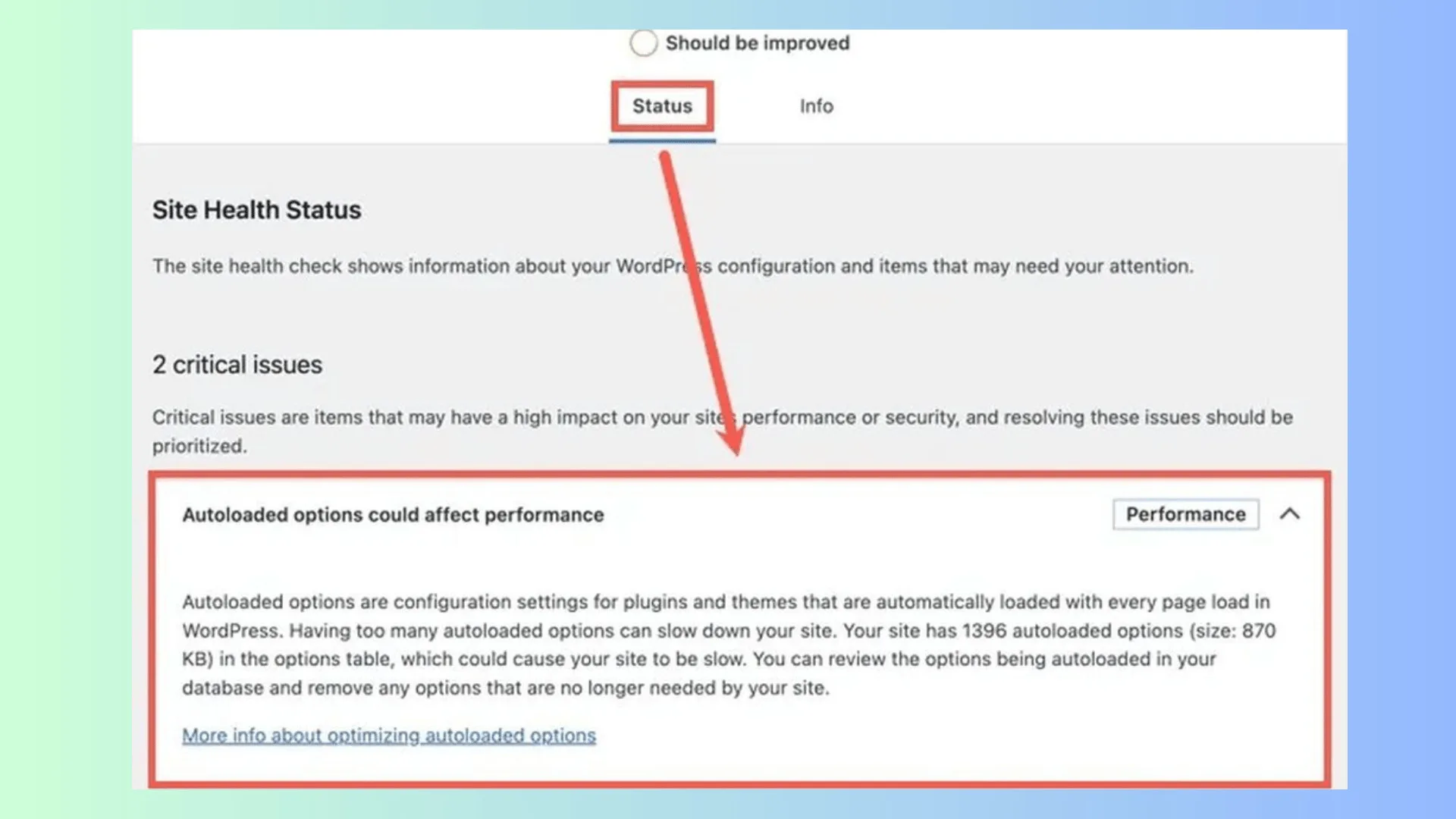 Resolve WordPress Autoloaded Options Error in 5 Simple Steps 1 site health performance issue caused by autoload options wordpress
